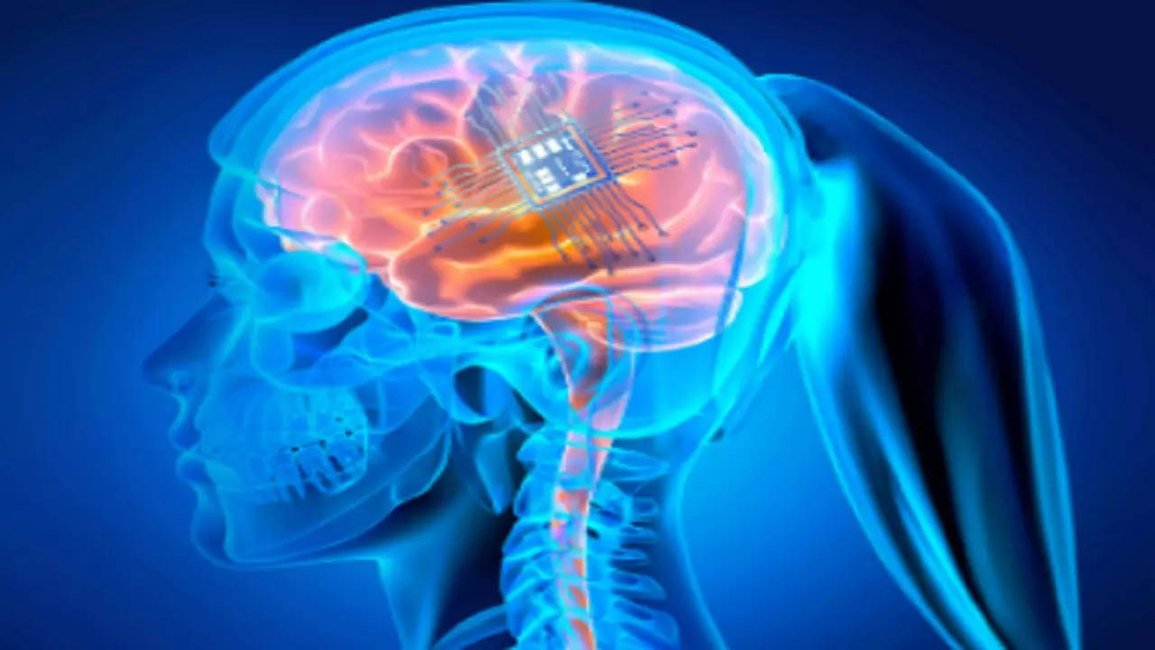 Elon Musk’s Brain Implant Company in Search of Human Trials Partner