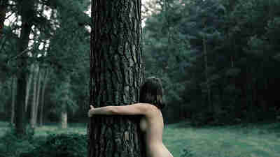 Report of naked Florida woman climbing trees helps police uncover ...