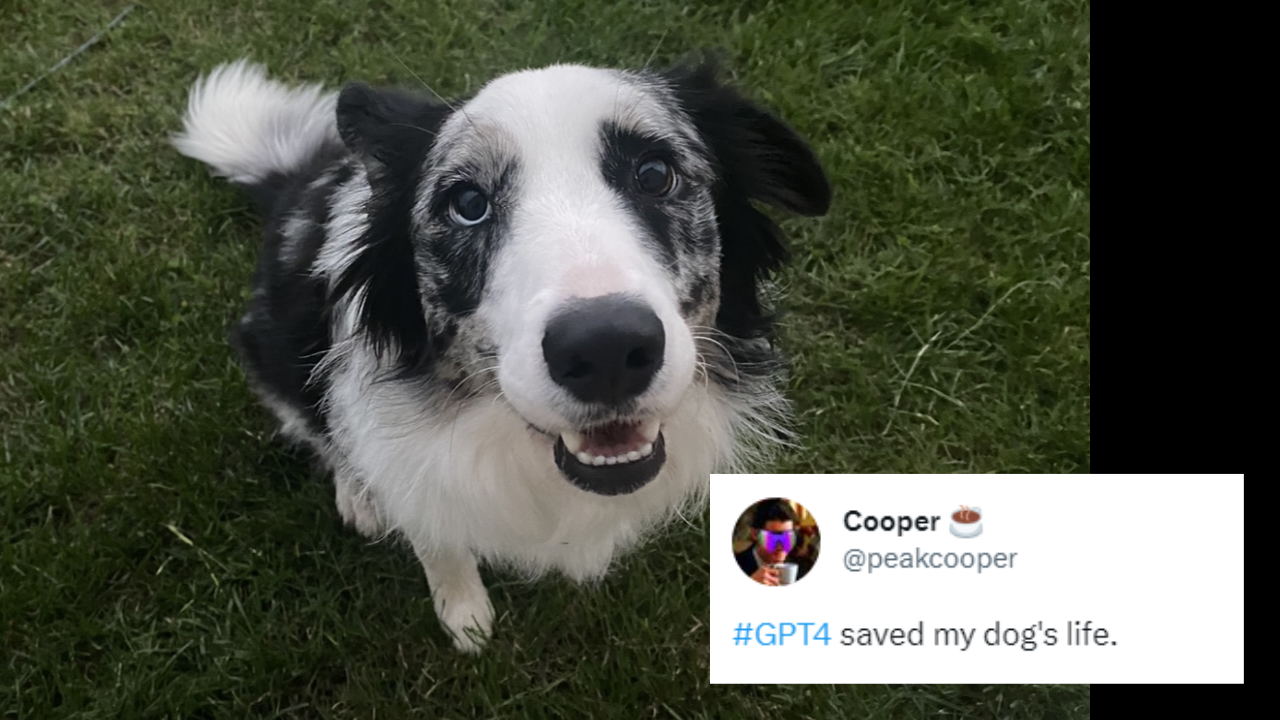 GPT4 saves dog life