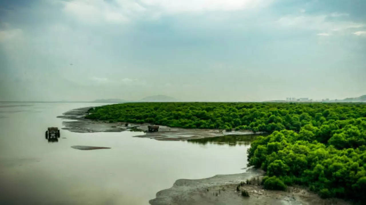 Mumbai greenery