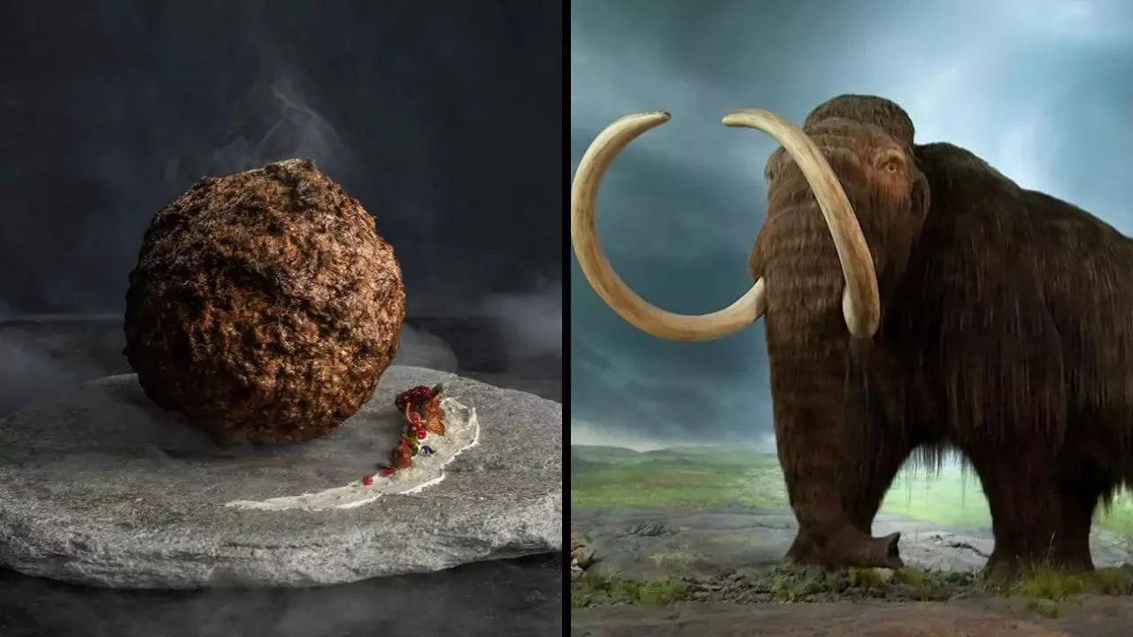 Australian food startup sequenced the DNA of a woolly mammoth to create a plant-based alternative for meat — The mammoth meatball | Aico Lind/Studio Aico; Flying Puffin, CC BY-SA 2.0, via Wikimedia Commons