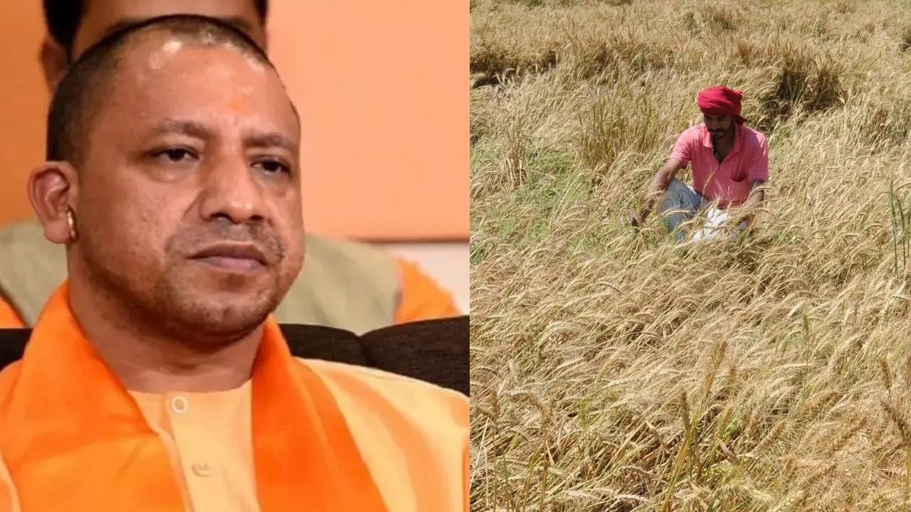 Uttar Pradesh crop loss