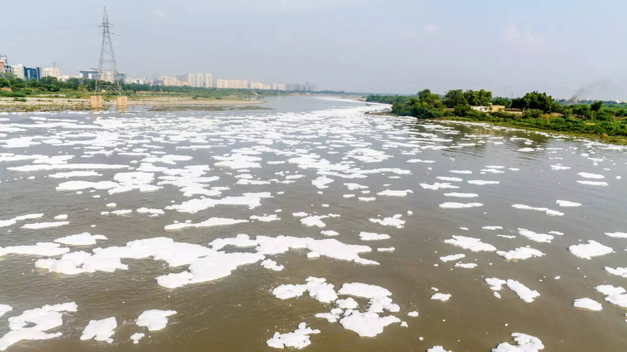 Yamuna River, File Photo.