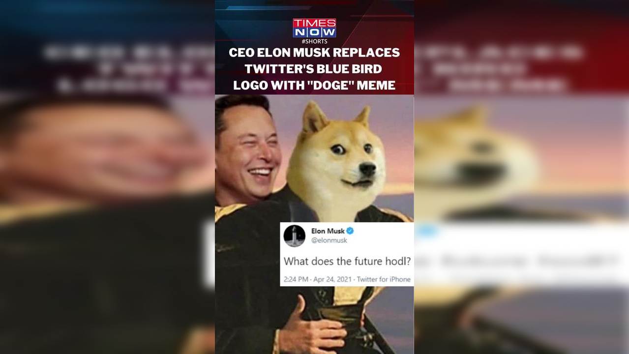 Twitter Iconic Blue Bird Logo Replaced With Shiba Inu 'Doge' Meme Of ...
