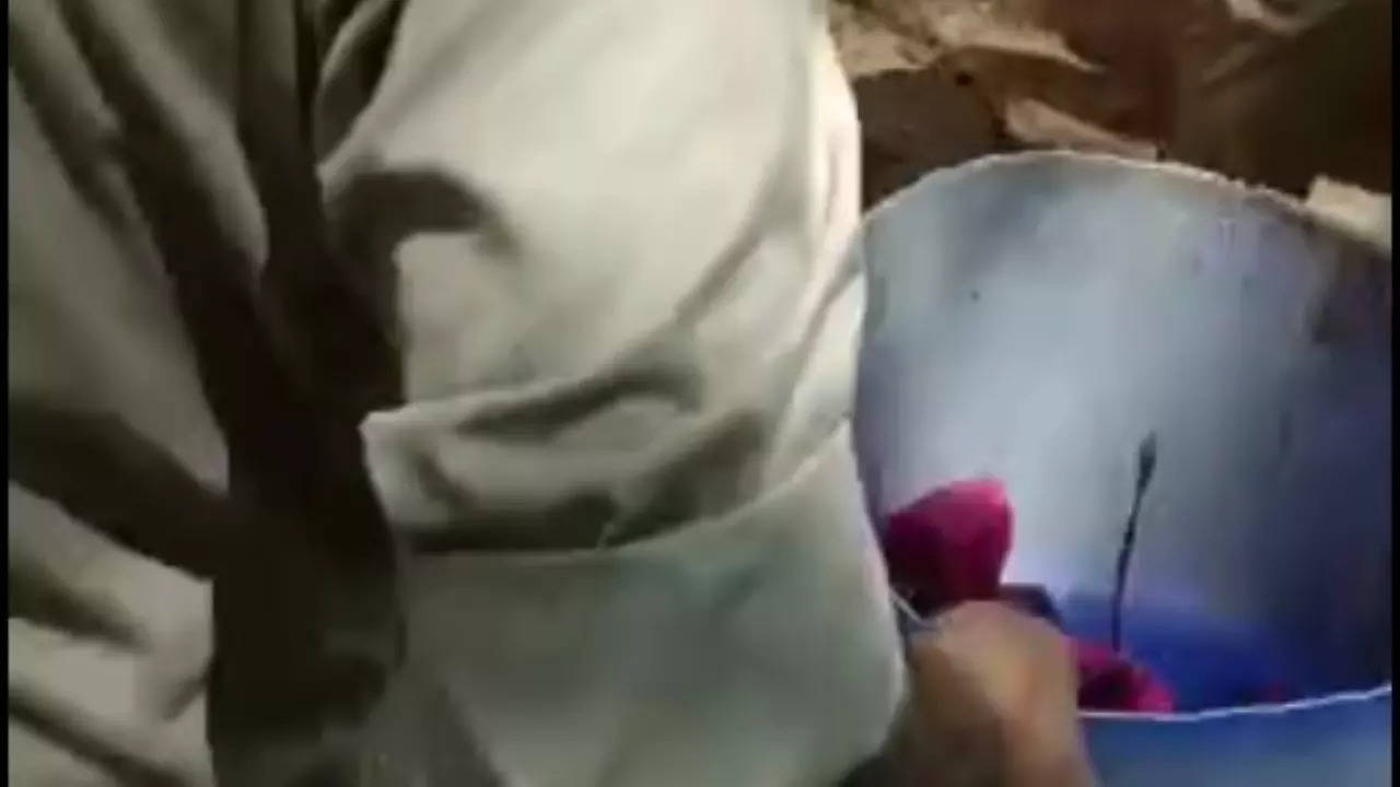 New Born Rescued