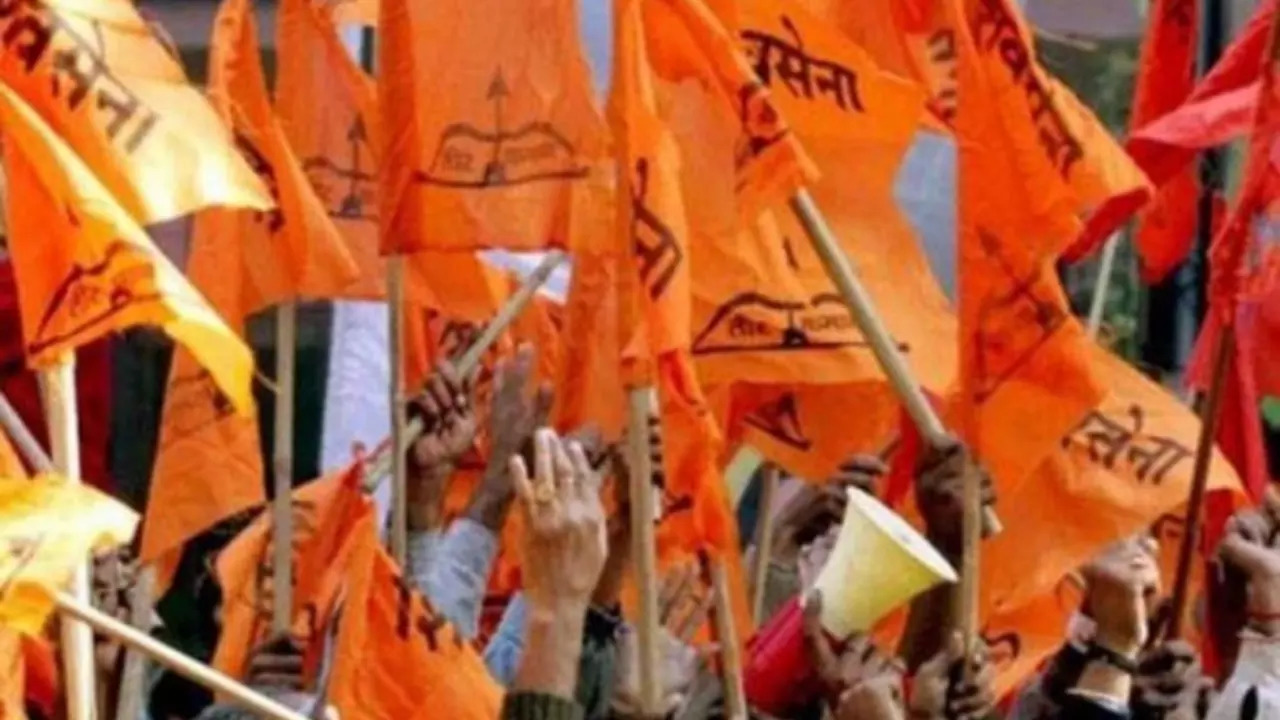 Shiv Sena Flags