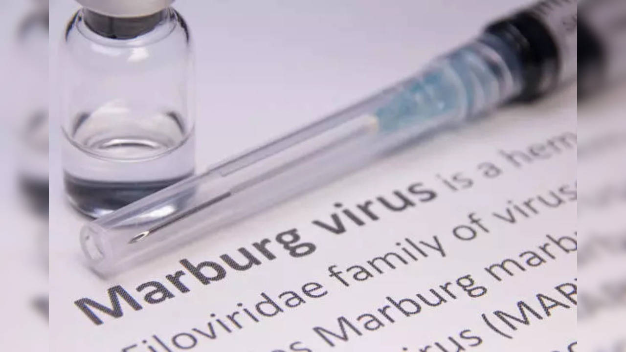 Marburg virus