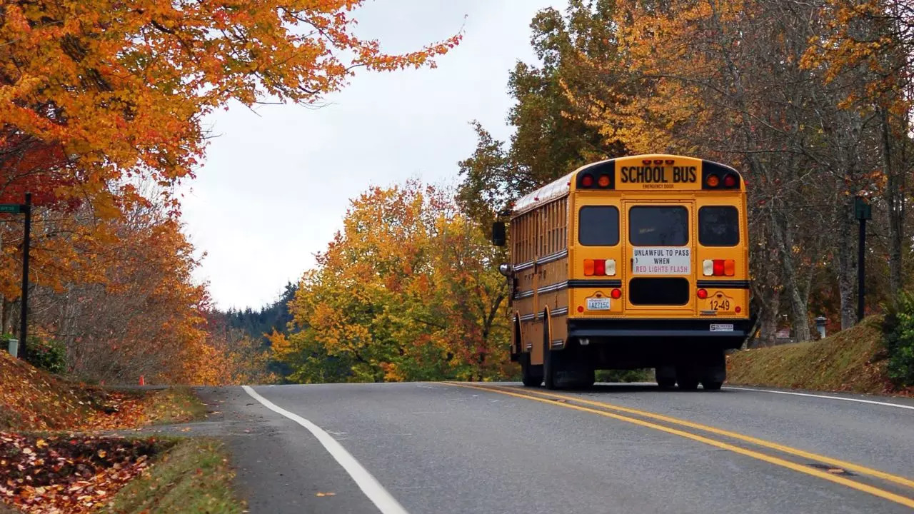 A US man named Tony Saunders allegedly stole a school bus with a dead deer inside and led police on a wild chase across multiple counties in Pennsylvania before being caught and arrested while running naked.  The suspect is now facing multiple charges and is being held at York County Prison. | Representative image: Pexels