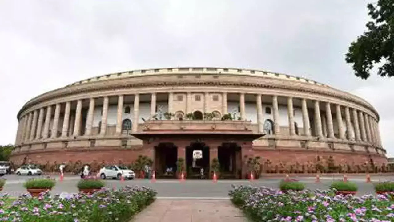 Delhi Man Tries To Set Himself On Fire Near Parliament, Raises Slogans ...