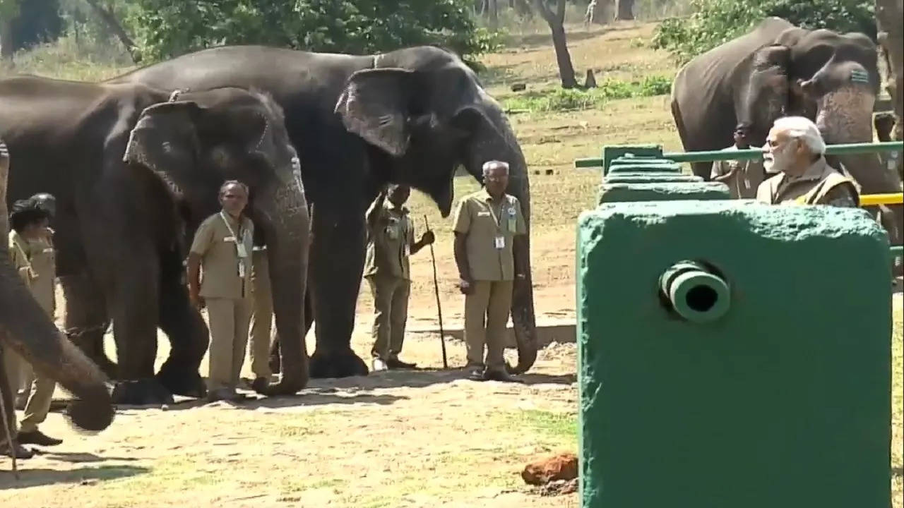 PM Modi at Elephant Camp