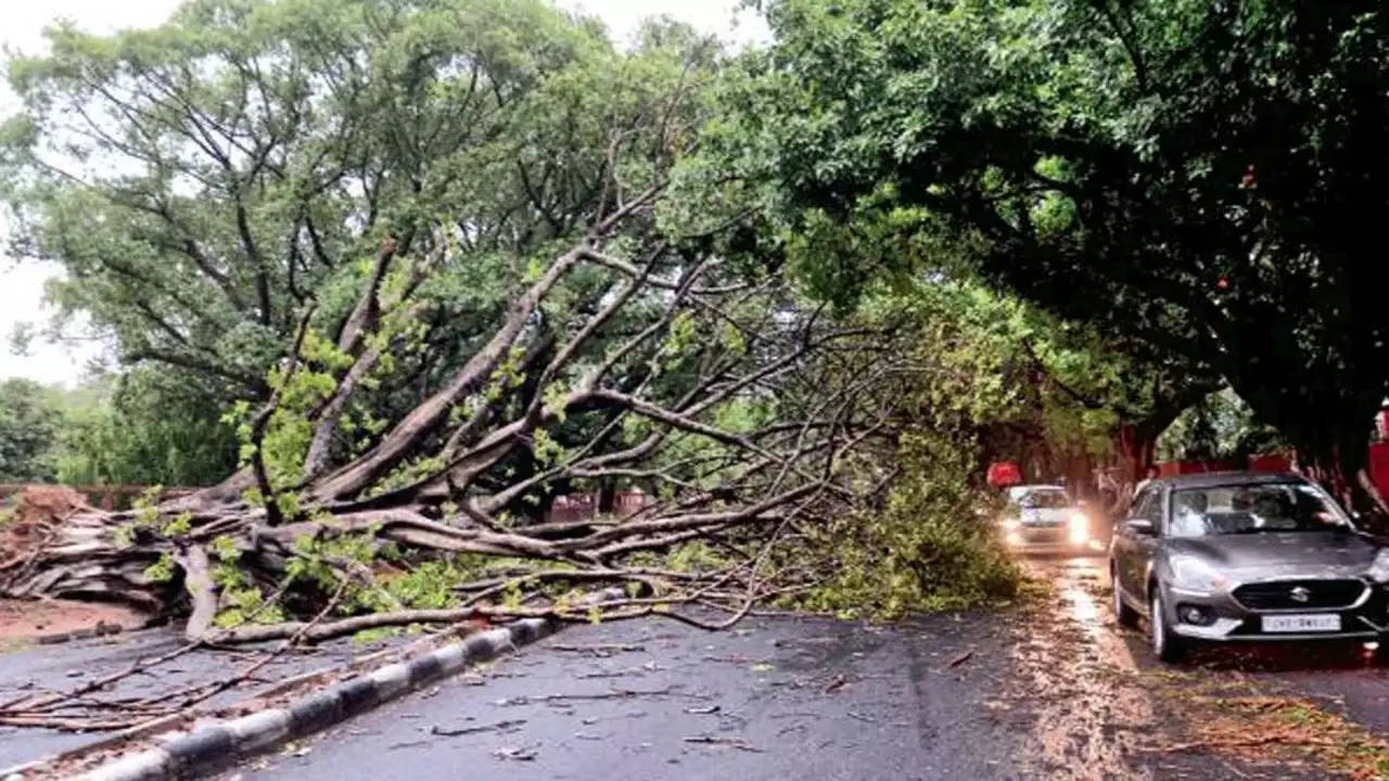 महाराष्ट्र में बारिश के बीच बड़ा हादसा, मंदिर के शेड पर नीम का पेड़ गिरने से 7 लोगों की मौत, 30 घायल Major accident amid rains in Maharashtra, 7 killed, 30 injured after neem tree fell on temple shed