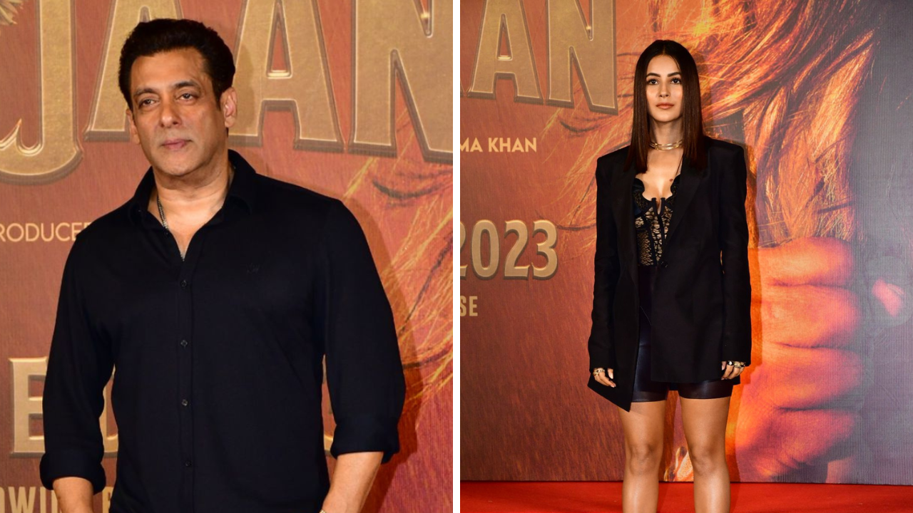 Salman Khan Asks Shehnaaz Gill To Move On. Actress Says 'Kar Gayi' And It's Enough To Warm Your Hear