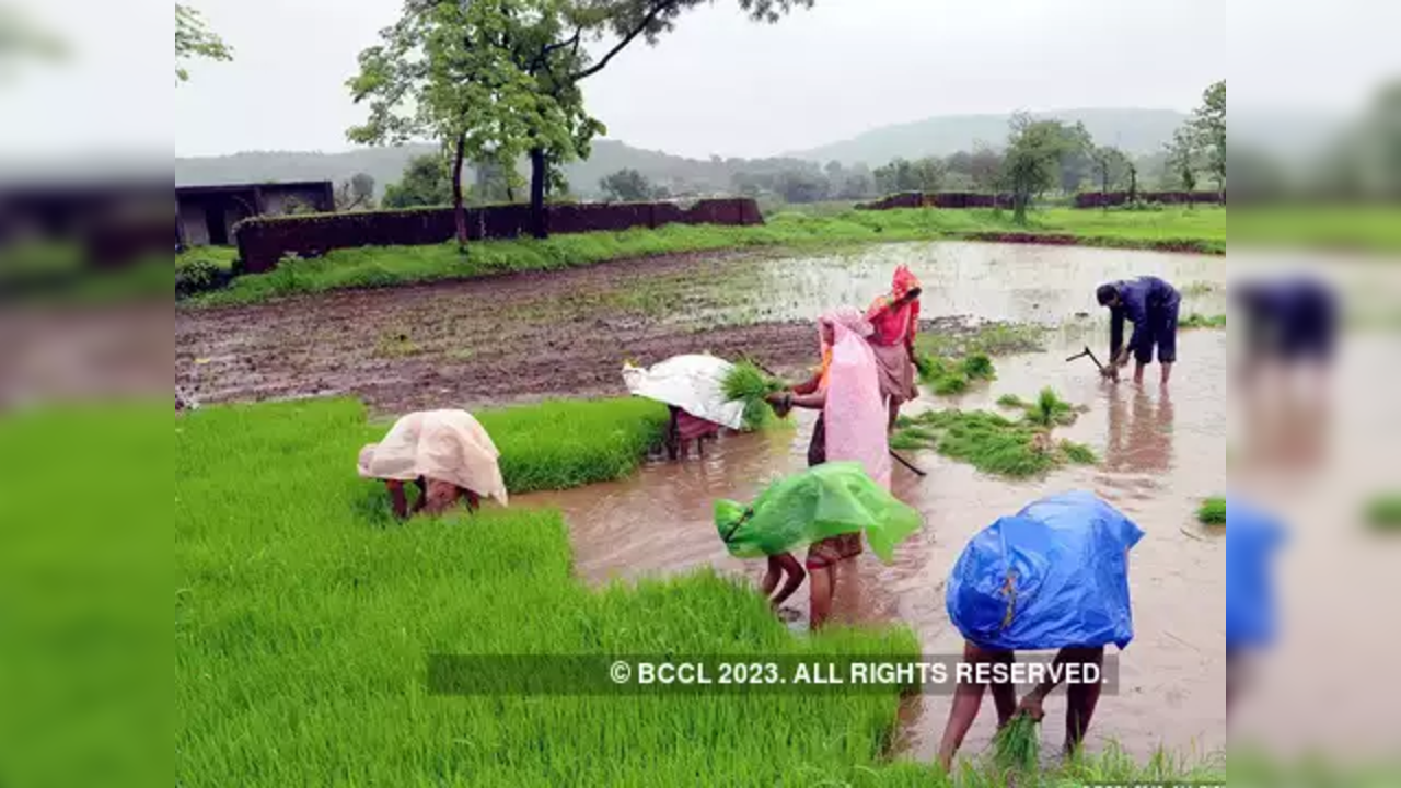 Big relief! IMD projects 'normal' monsoon; eases fears over low agri production, inflation