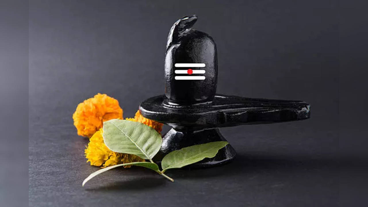 Natural Shivling Narmada Banalingam Lord Shiva Lingam Shivlingam  India~I-276 | eBay