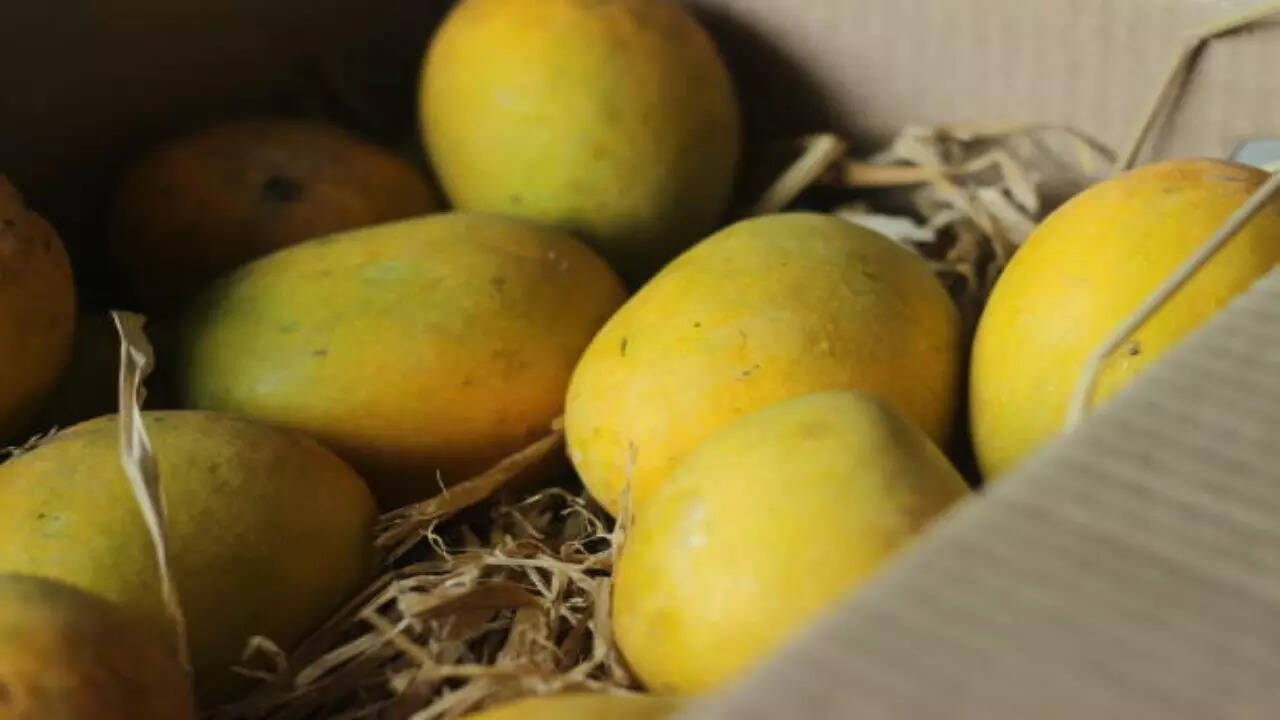 Mango Mania; A Juicy Delight Explore These 5 Indian Cities For Mango