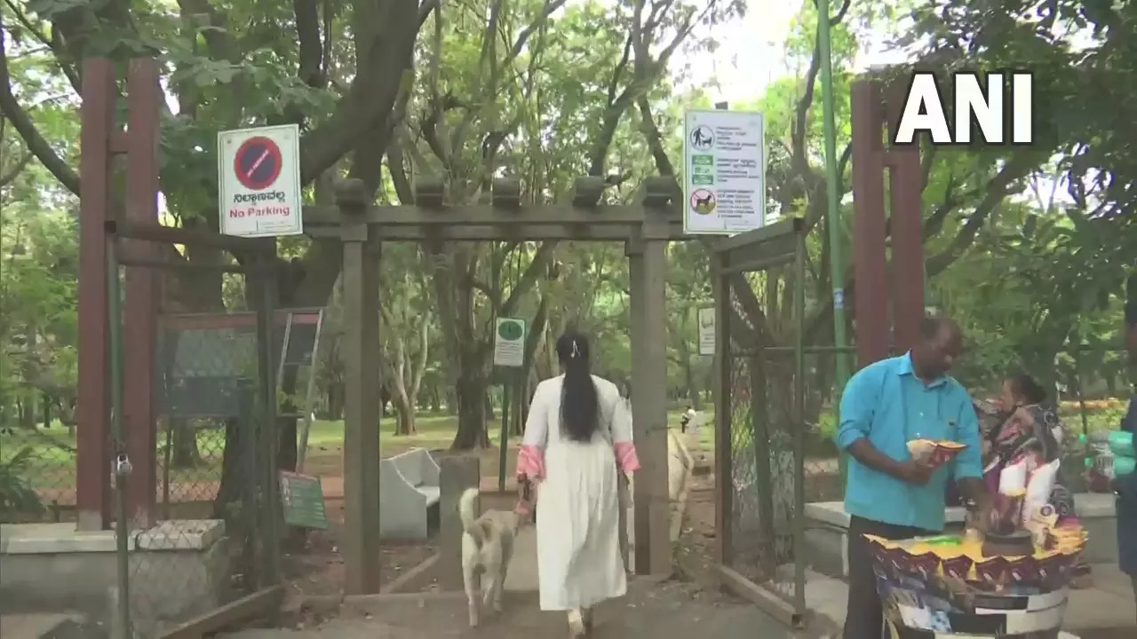 Cubbon park