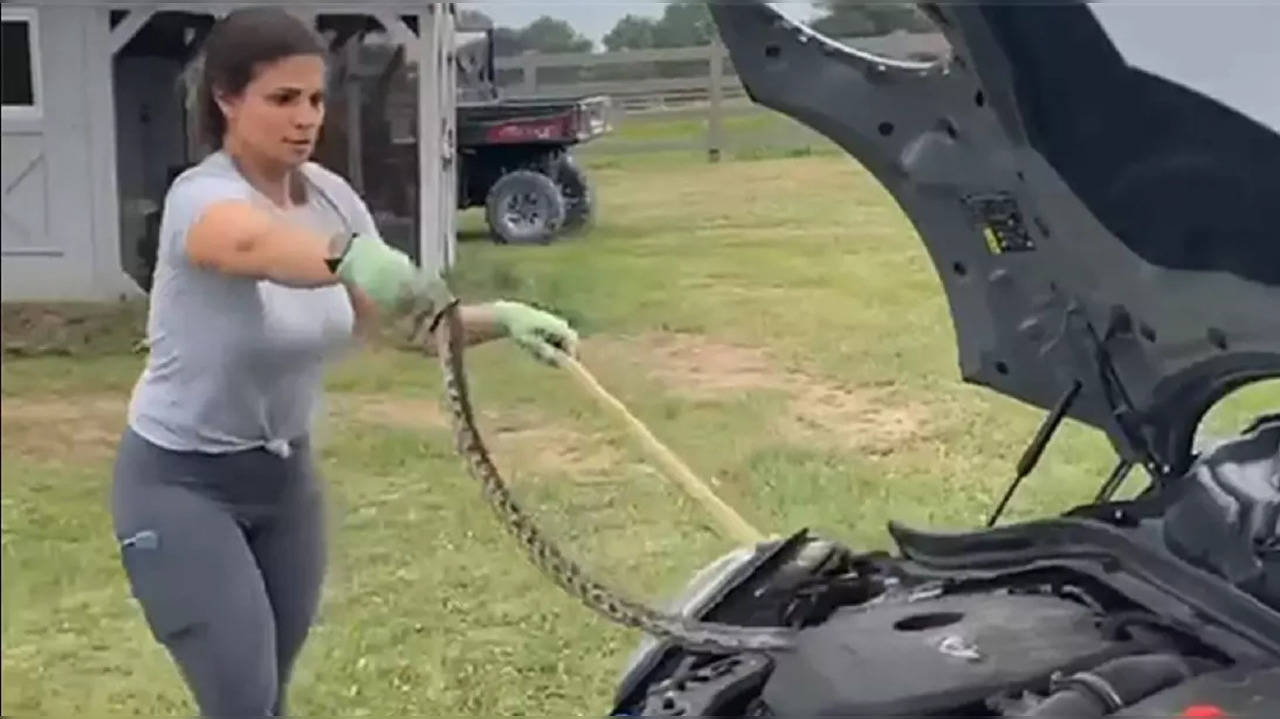 Mum removes snake from daughter's car