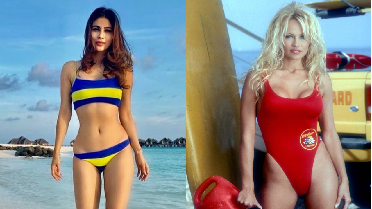 Mouni Roy, Pamela Anderson