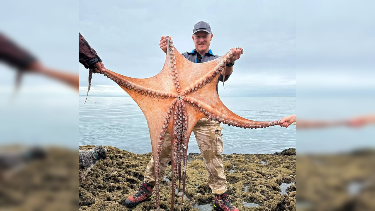 Ziggy Austin stands holding the huge octopus.