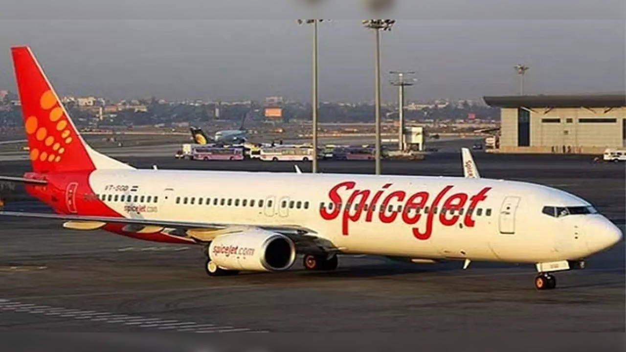 SpiceJet's Srinagar-bound flight returned to Delhi after cargo fire warning