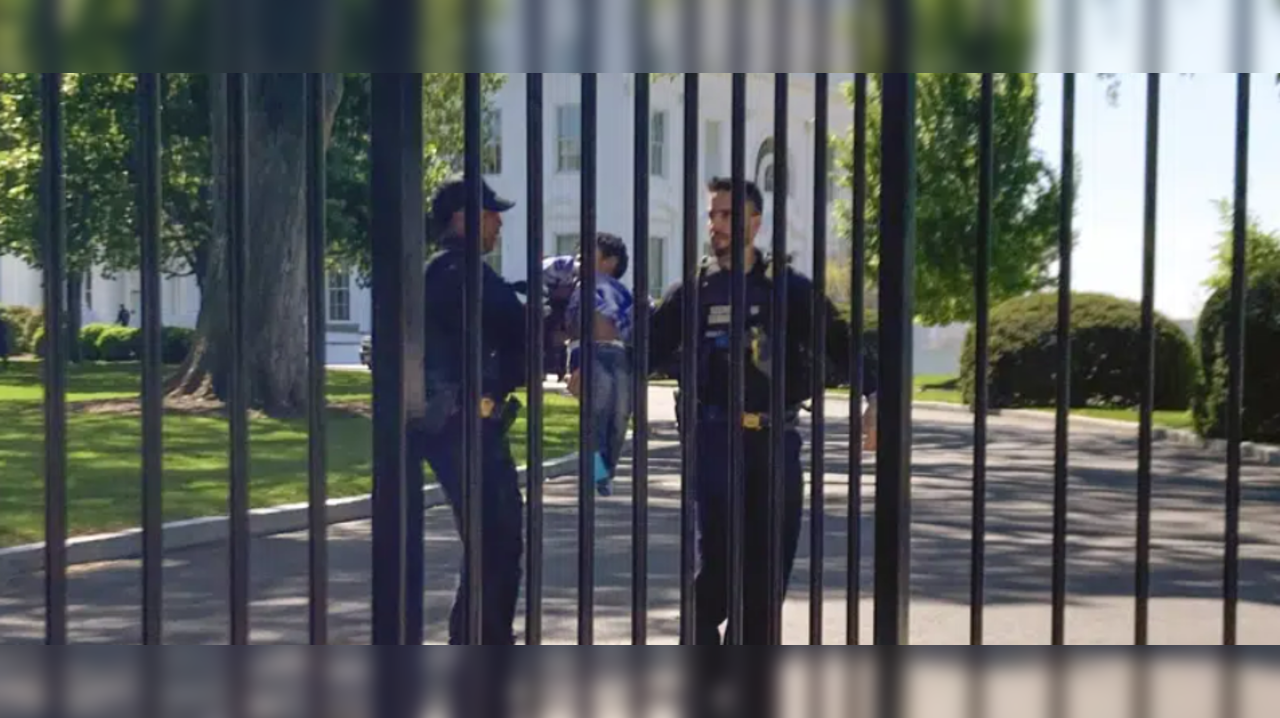 Curious Toddler Crawls Through White House Fence