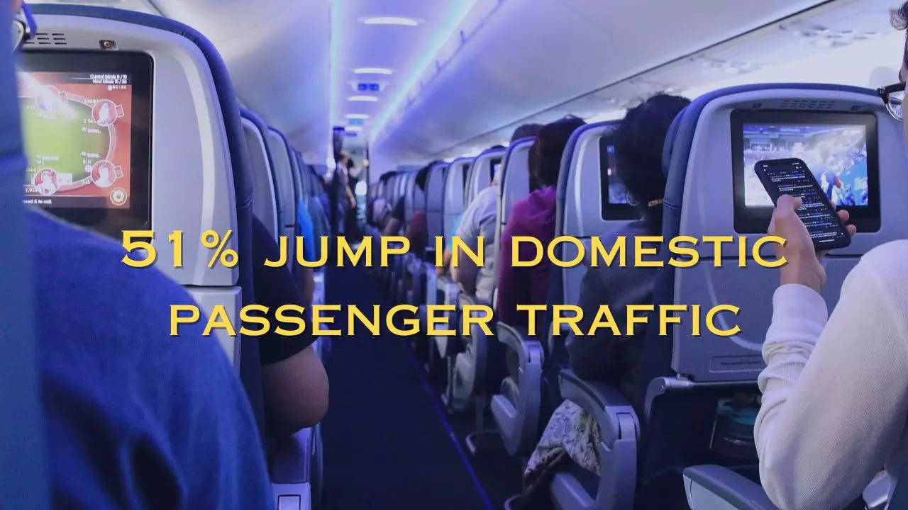 Domestic Passenger Traffic