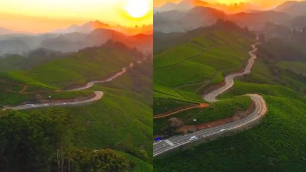 Kerala - Munnar-hills