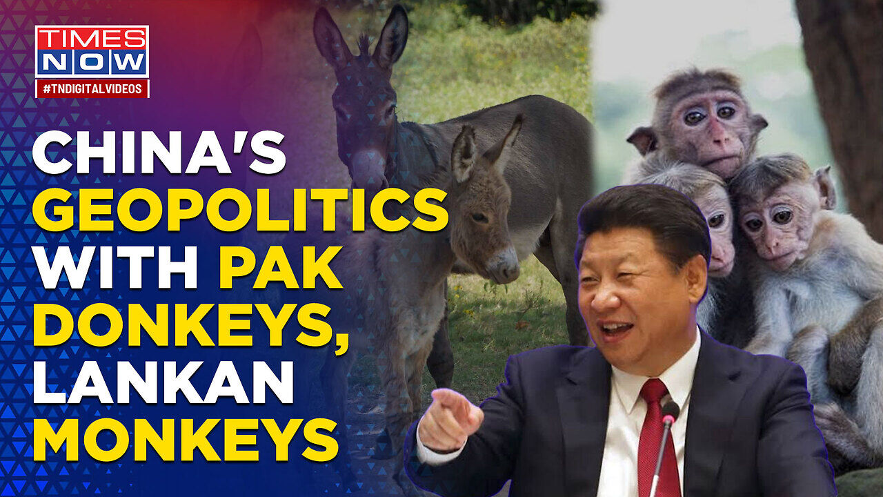 How Dragon China Is Playing Geopolitics Game With Pakistan's Donkeys ...