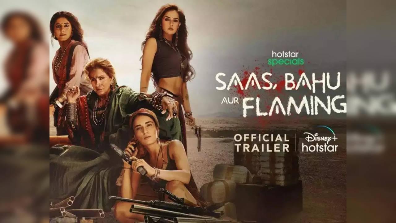 Saas Bahu aur Flamingo Trailer out