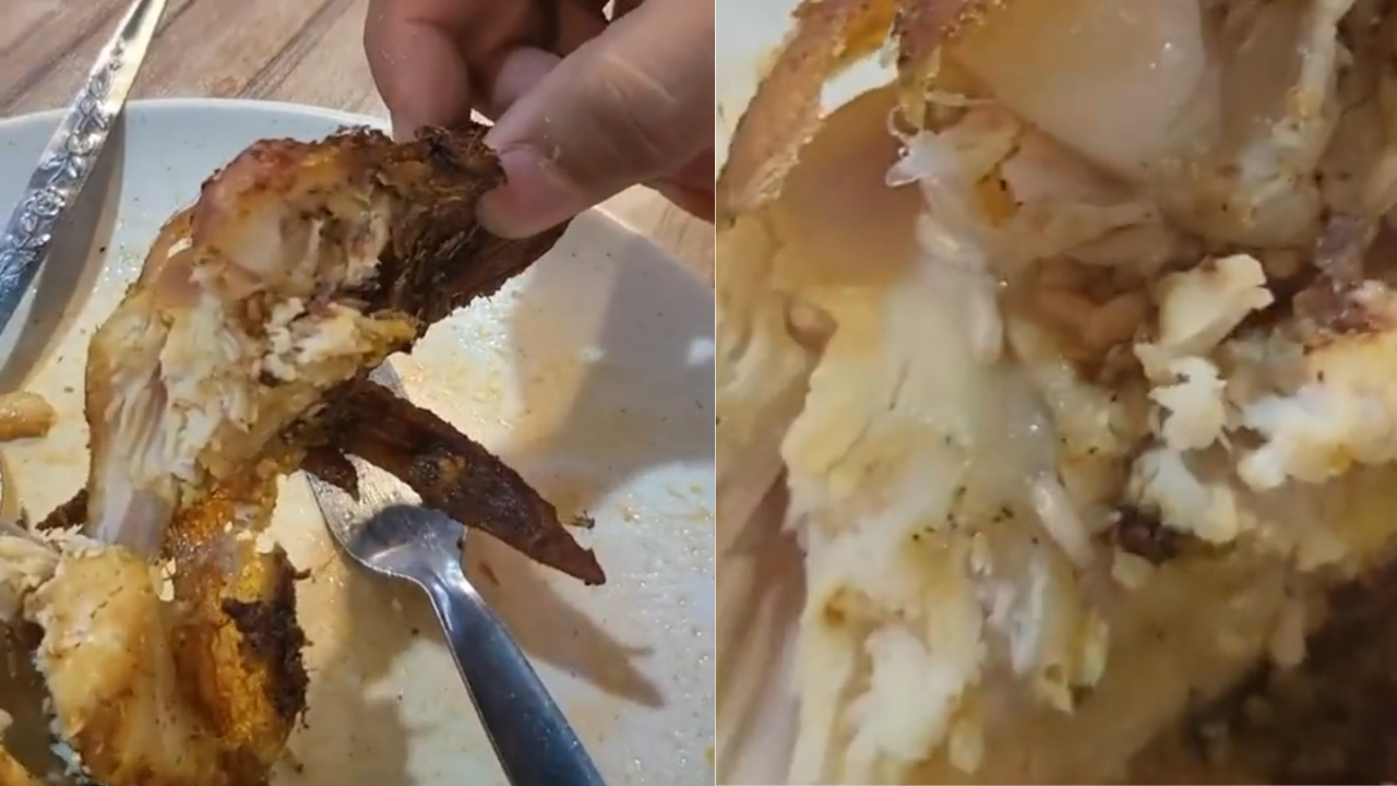 Maggots in chicken