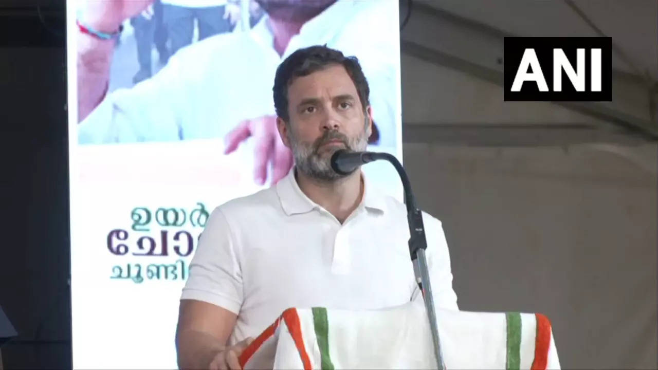 Rahul Gandhi In Wayanad