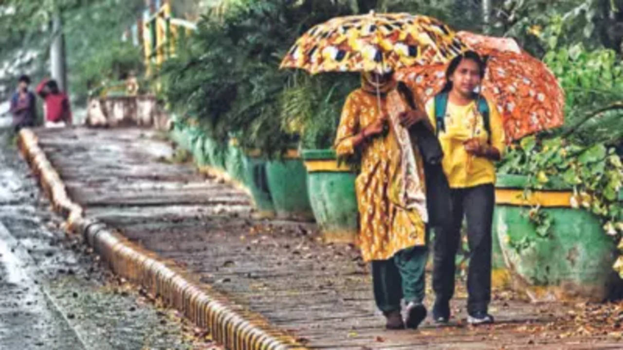 IMD Rainfall