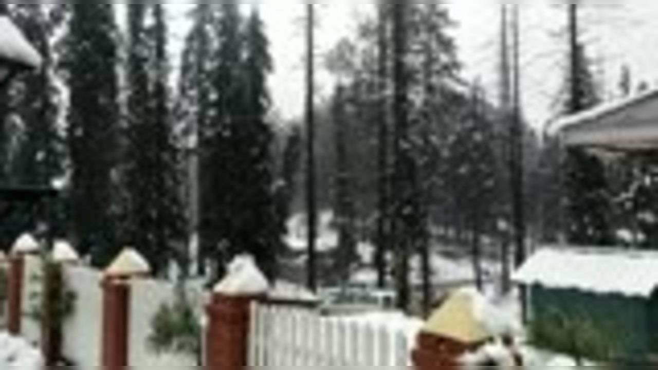 Jammu & Kashmir: Gulmarg Receives Fresh Snowfall - WATCH