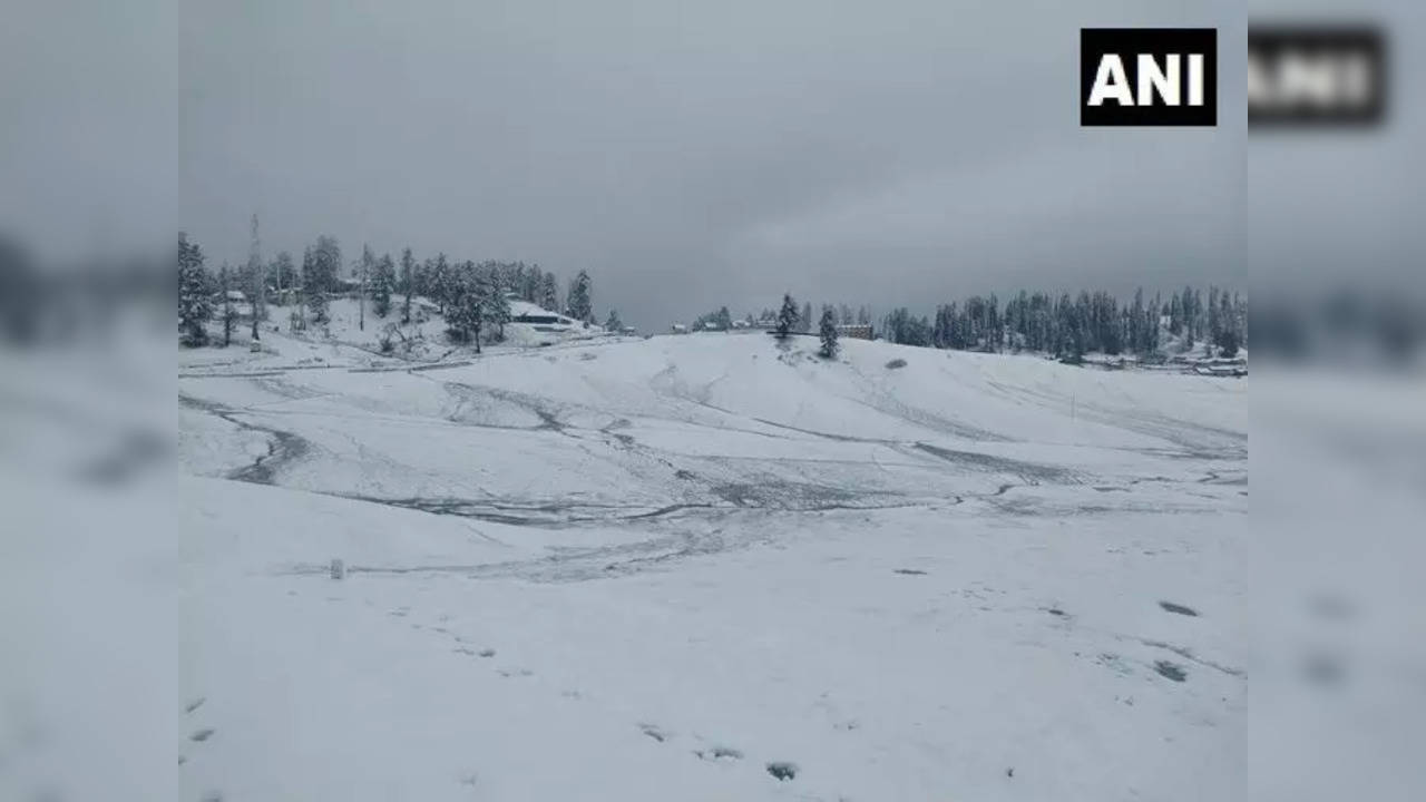 Watch: Higher Reaches Of Kashmir Receive Fresh Snowfall | India News, Times  Now