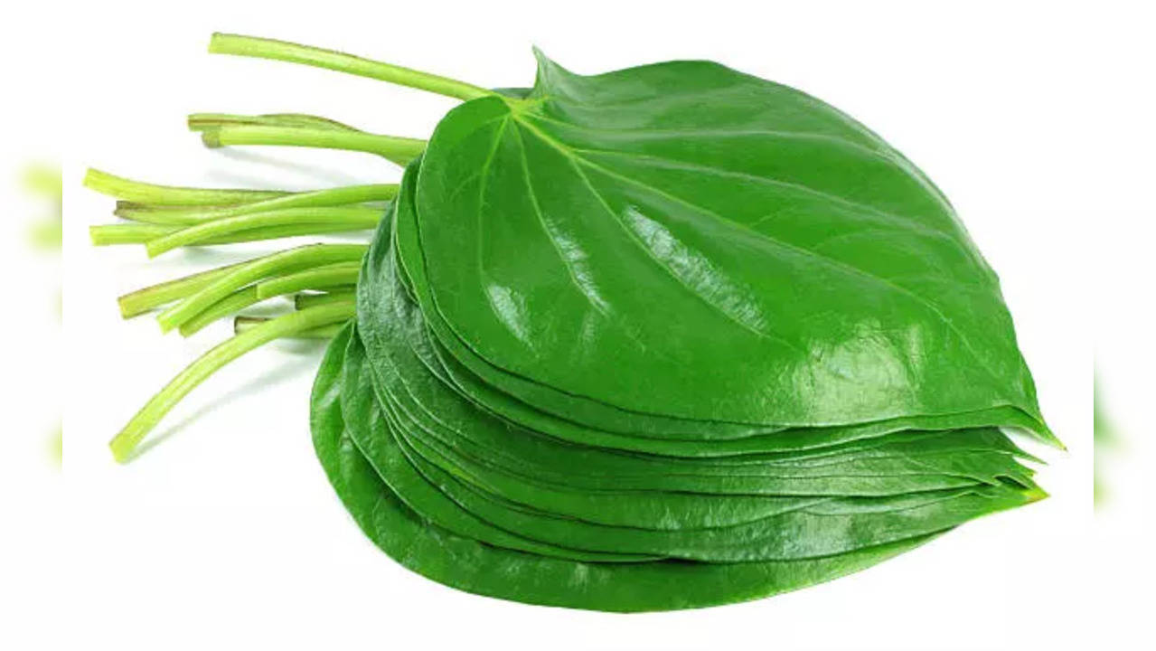 Know the benefits of consuming betel leaves in summer