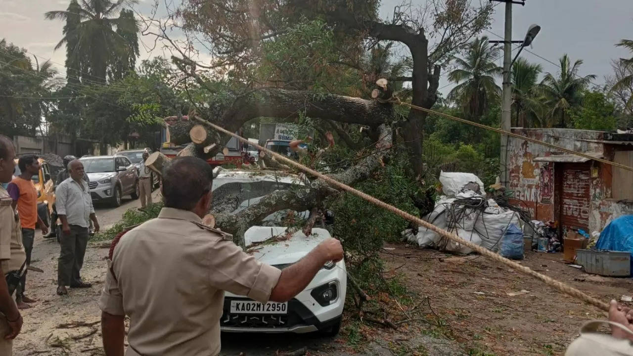 3 injured after tree falls on car in Bengaluru