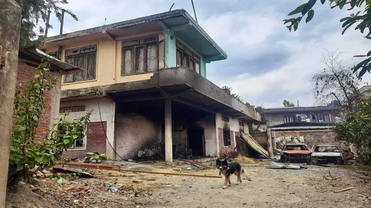 Dog Waiting For Owners In Vandalised House In Violence-Hit Manipur (Photo: Nibir Dheka/Times Now)